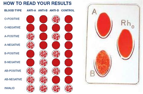 blood type generator.